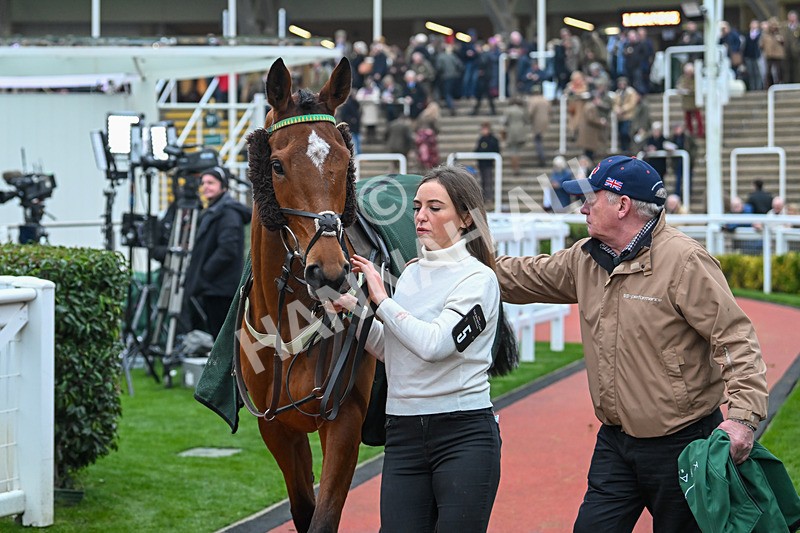 151124-Race 5-Paddock-Gale Mahler-8366 - Race 5