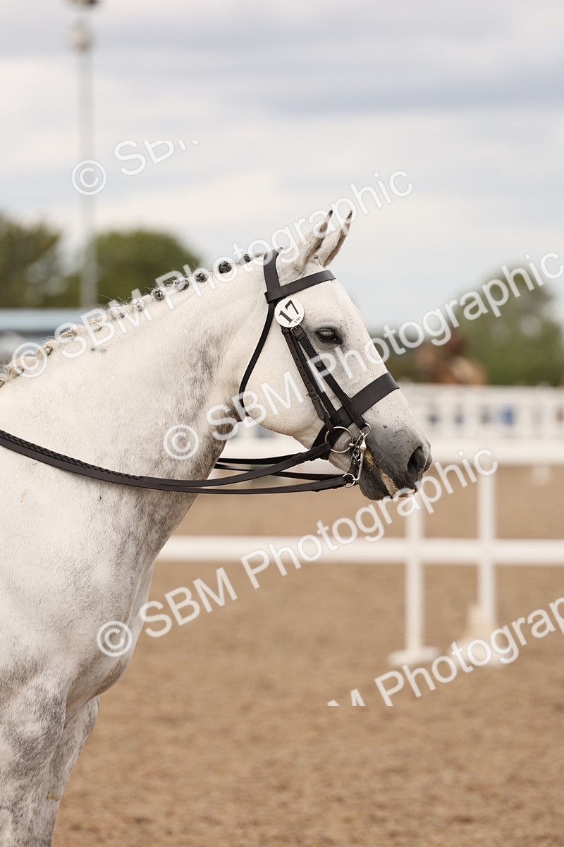 SBM_16516 - Class 212 - Ridden Hunter - Small