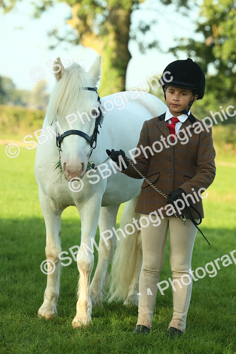 SBM_57504 - S37 - Starters In Hand Showing