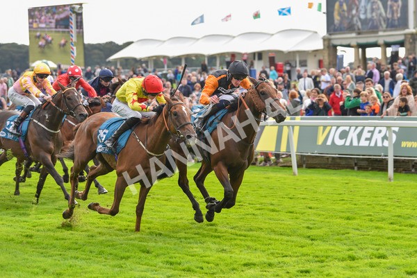 230923-Race 4-Aphelios-6498 - Race 4 3.45pm Jigsaw Sports Branding Handicap