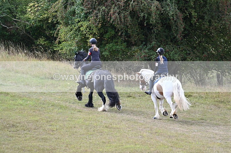 WJ7_4410 - Time 10:54 to 11:16