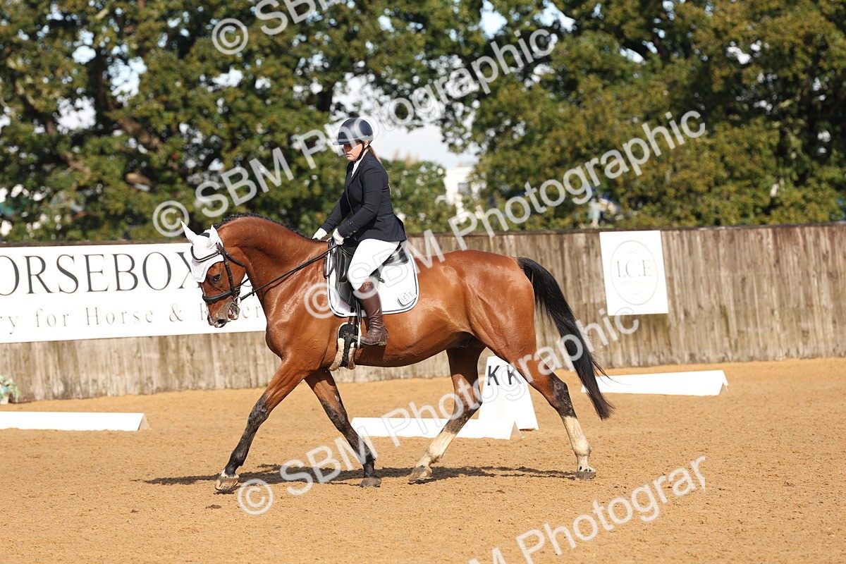 SBM_37612 - D18 - Grand Tour Championship Novice 2