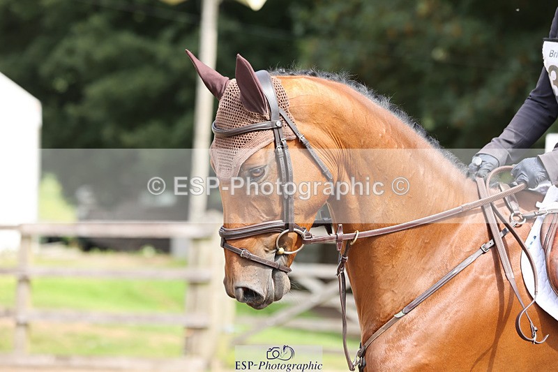 240804-102816-11080 - 301-Dani_Evans-SLEEPING_LION_TH