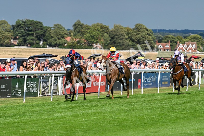 140825-Race 5-Chillhi-1512 - Race 5