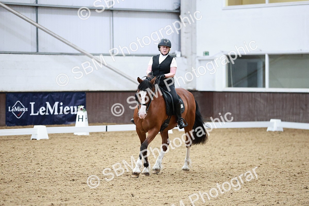 SBM_014349 - Class 7 - Ele FSM Bronze  13.24.14.04