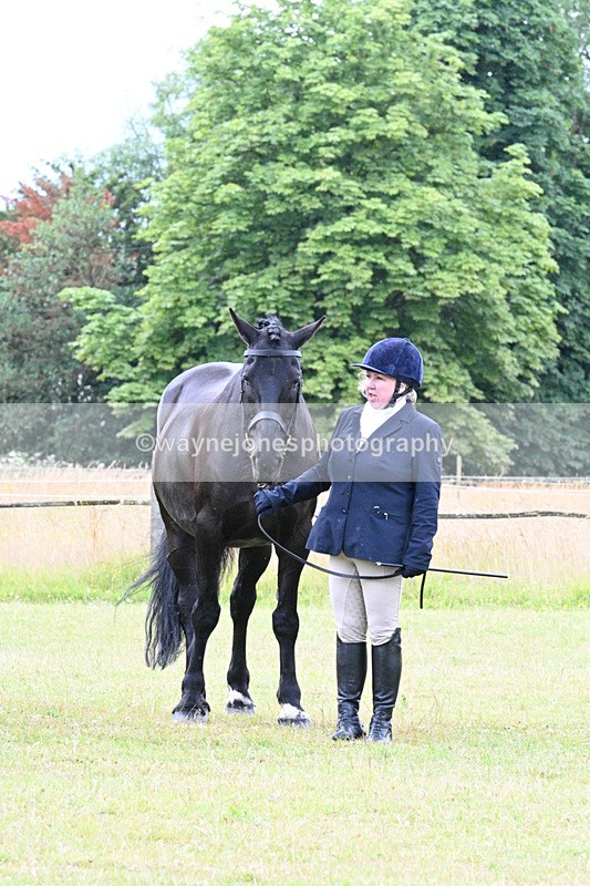 WJ7_7222 - Class 5a Most Handsome Gelding in Hand