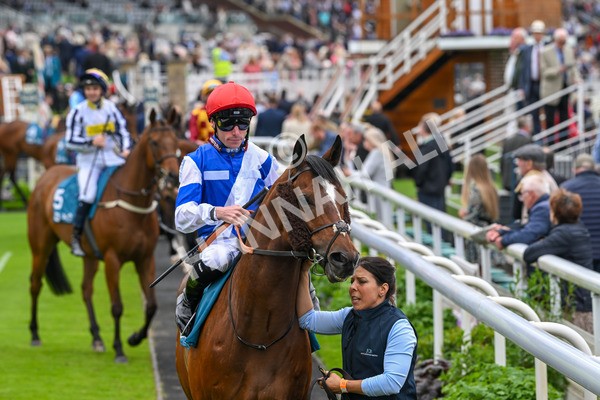 250524-Race 1-Tiriac-2592 - Race 1 1.35pm William Hill Keep Your Raceday Positive Handicap