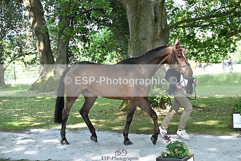 250521A-154908-00781 - B-371-Ben.Perry-FA.KARLA