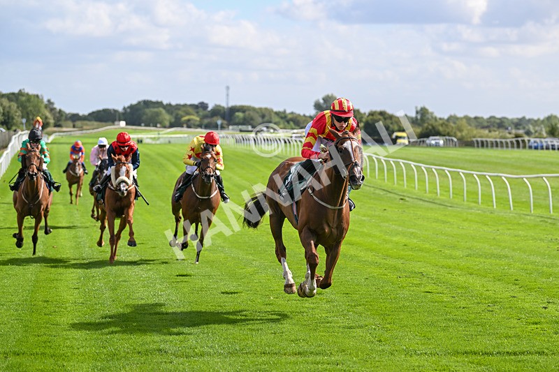 100924-Race 1-The Dancing Poet-9885 - Race 1