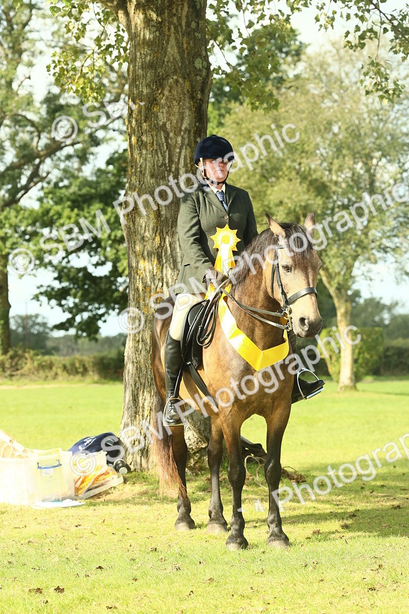 SBM_62710 - S63 - Other Coloured Horse Ridden
