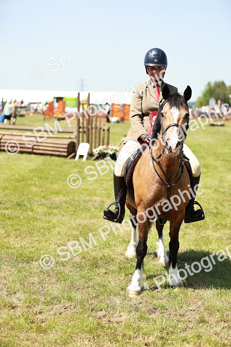 SBM_16414 - Class 110-111 - Training Stakes (70cms 80cms)