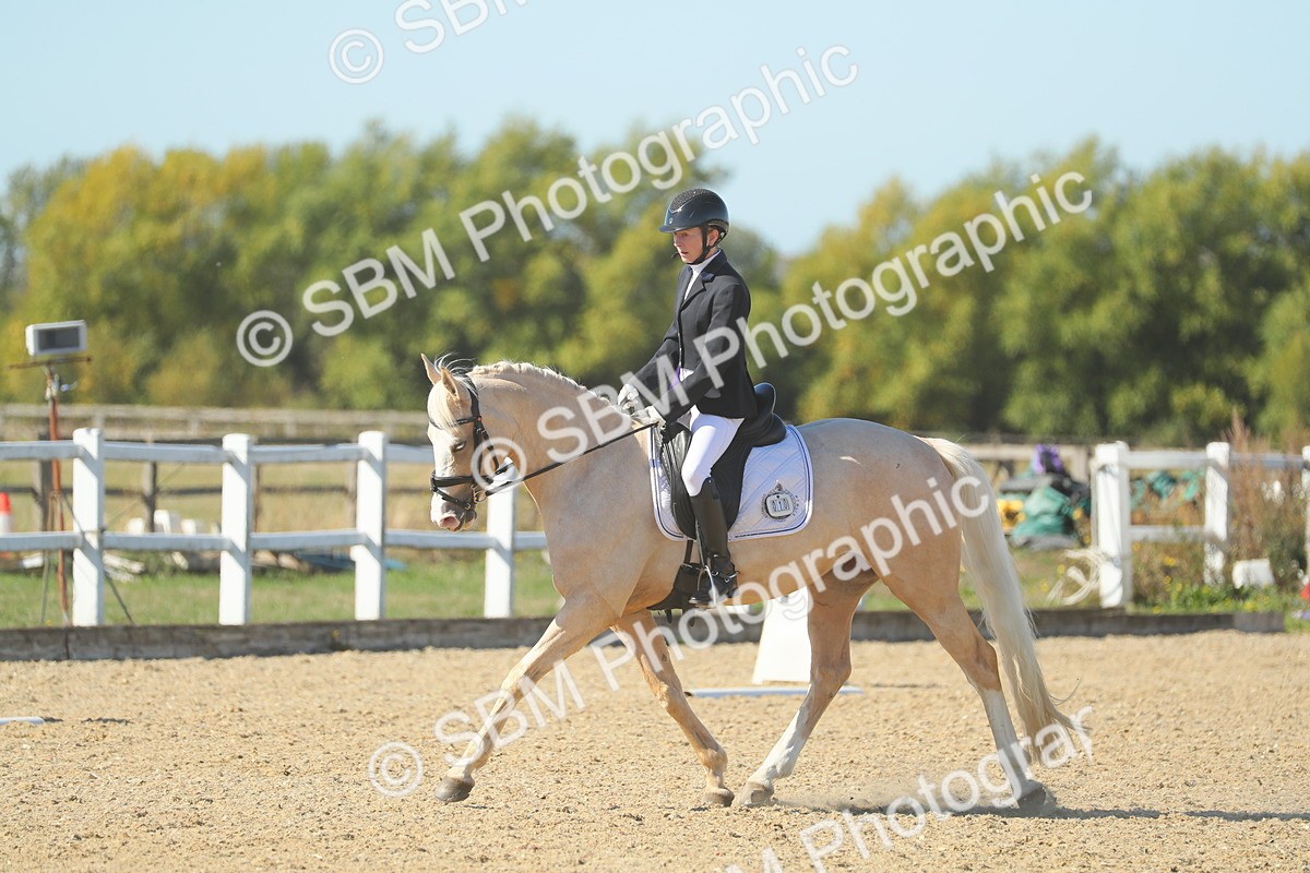 SBM_001351 - Class 5 - N5