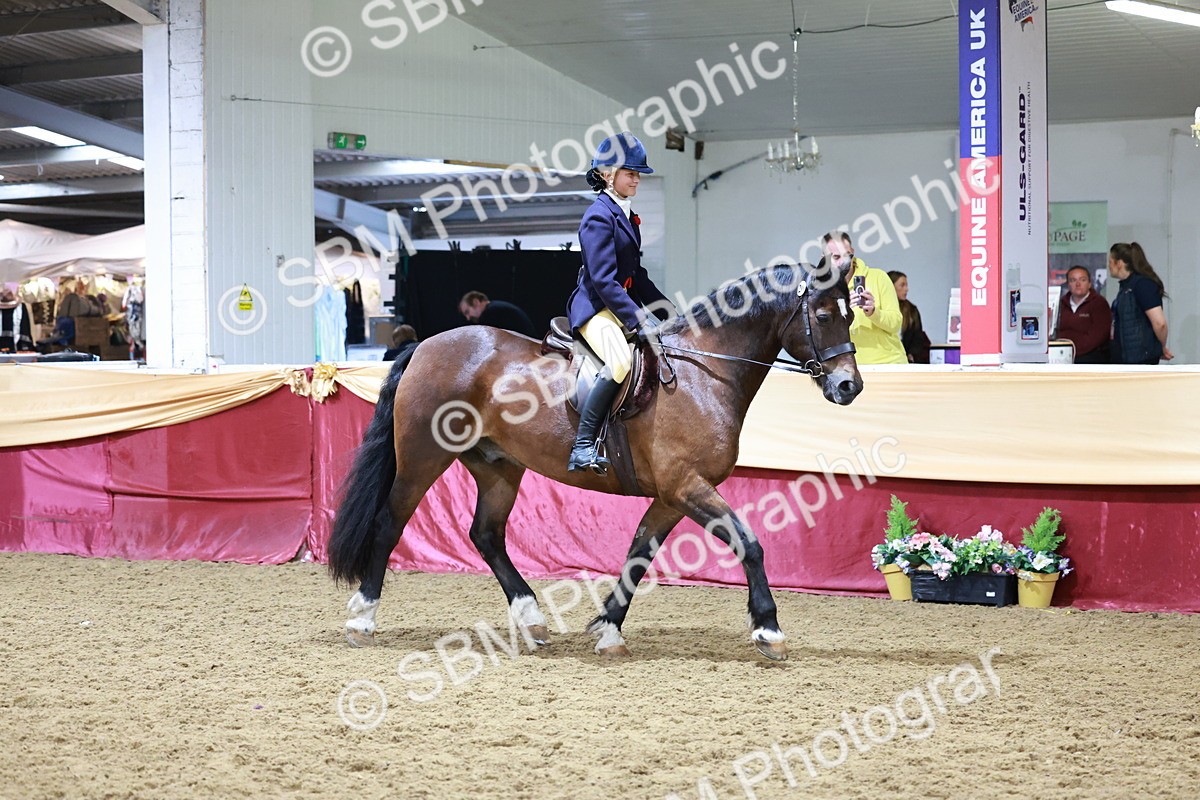 SBM_20019 - Class B - Junior Champ 11yr to 16 Years