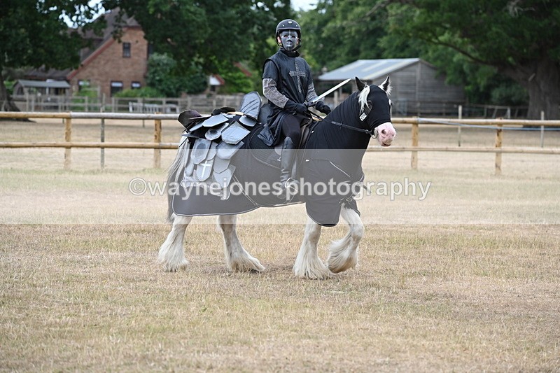 WJ6_8852 - Class 11 Fancy Dress