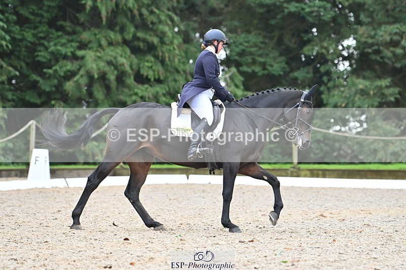 231019-130633-03283 - 121-KNOCKADERRY.MISTY.BAT-Harriet.Dickin-DR