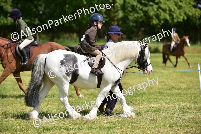 20260614-1181 - Class 11a - Lead Rein Pony (Unplaited)