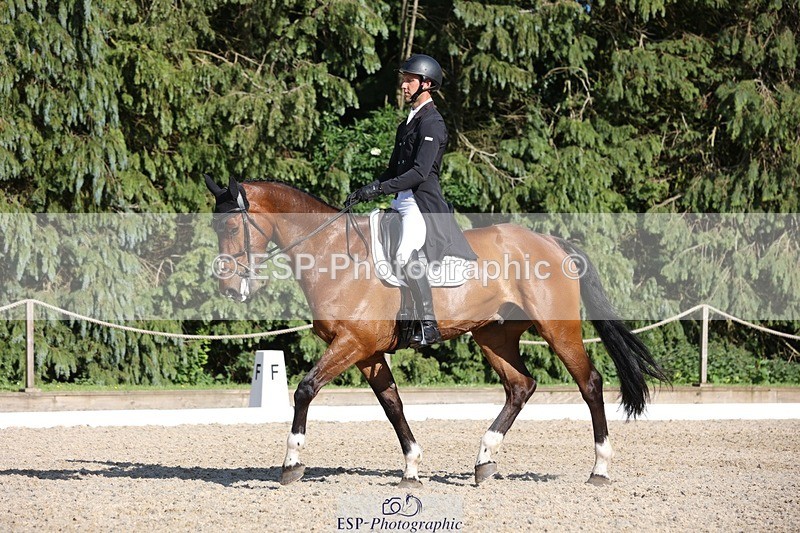 230526-173929-08005 - 180-GUEULE_DE_REVE-Arthur_Duffort-WEDTrotUp+DR