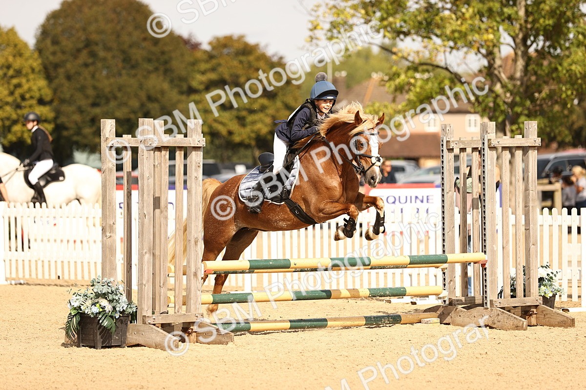 SBM_67030 - J13 - Junior Pony 60cm Championship