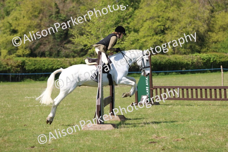 20250427-2606 - Class 20 - Working Hunter Ponies