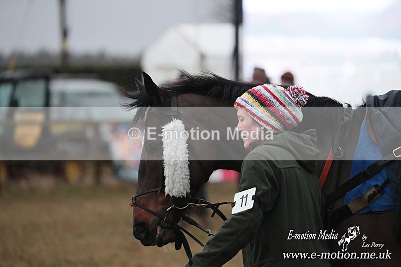 PtP 260125 982 - Cocklebarrow Point-to-Point racing with the Heythrop Hunt 26/01/25