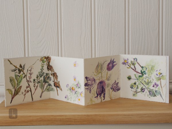 Early Spring - Summer Light