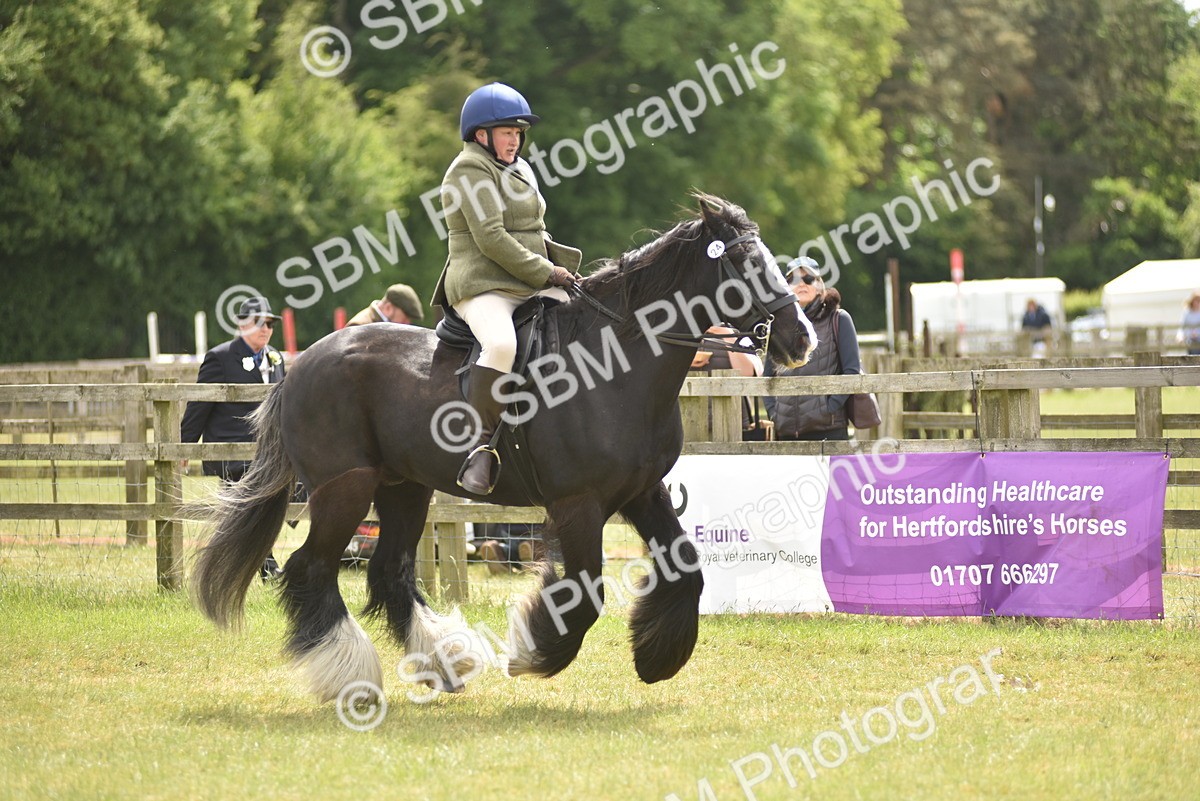 SBM_15961 - Class 117-122 - SSADL RIHS Qualifier