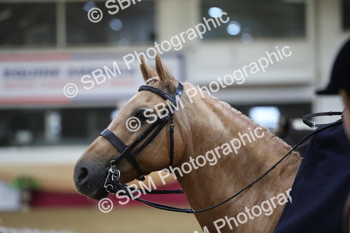SBM_09329 - Class 101 Equitation (best rider), Junior