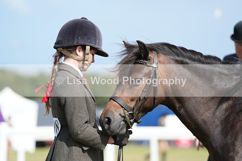 DSC07645 - Class 62: Child Handler