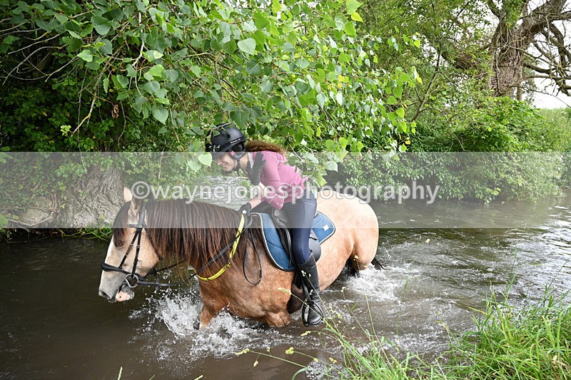 WJ7_2037 - Camera 2 Water Crossing