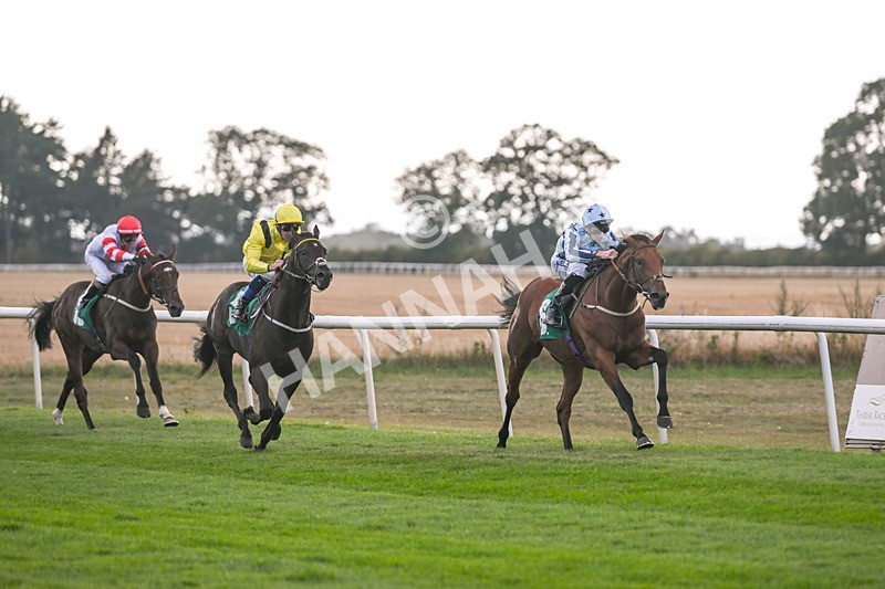 150825-Race 2-Hasbro Market-2519 - Race 2