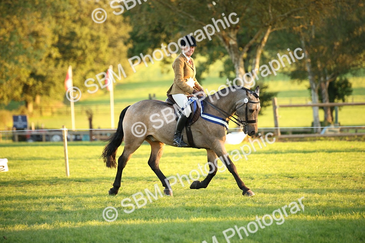 SBM_57077 - Veteran Supreme Championship