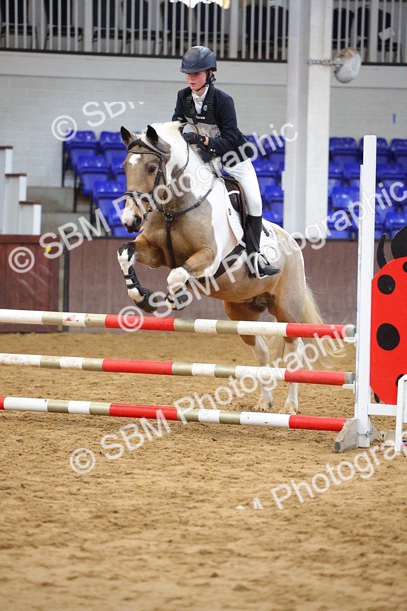 SBM_001914 - Class 5 - Show Jumping 80cm