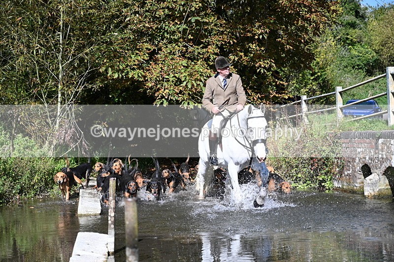 WJ7_5936 - Hounds Water Crossing