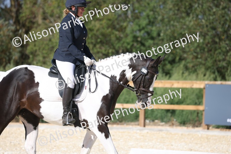 20260905-1560 - Class 5 - Novice 2