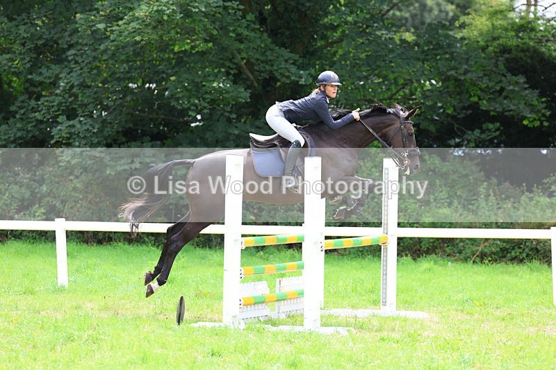 3E7A7362 - Class 5: Senior British Novice/90cm open