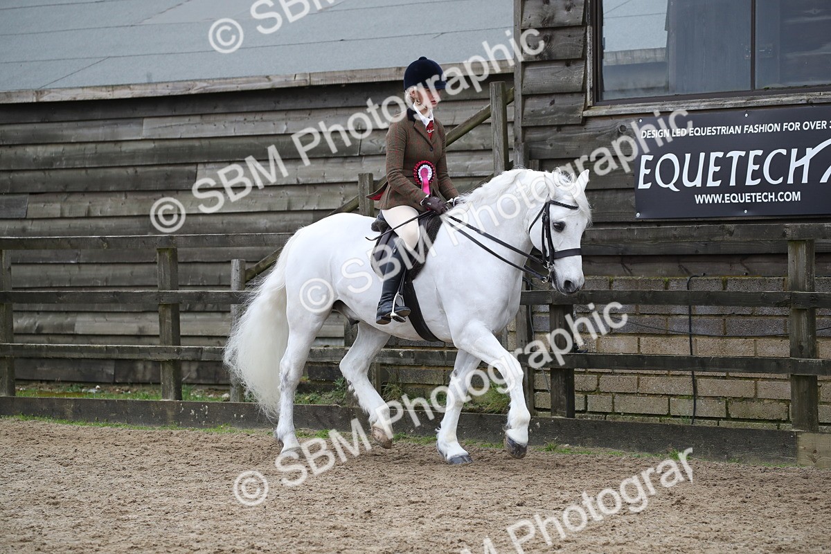 SBM_006471 - Class 10-13 - RIHS Small Large Breeds