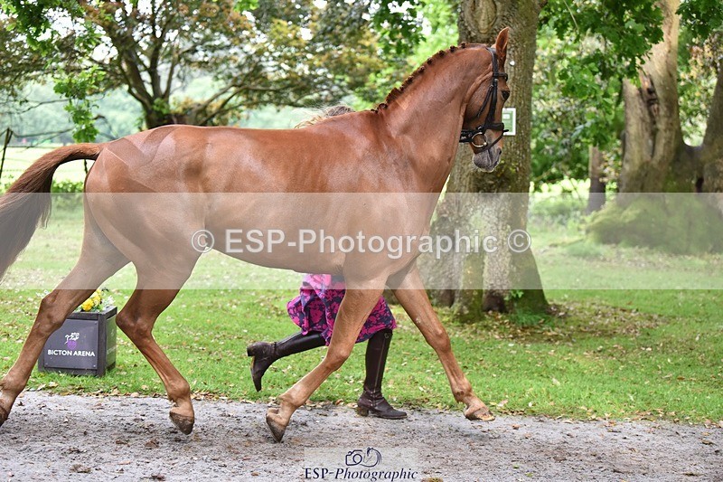 240522-170712-01401 - 236-RUBIN_MOON_SB-Gemma_Watts