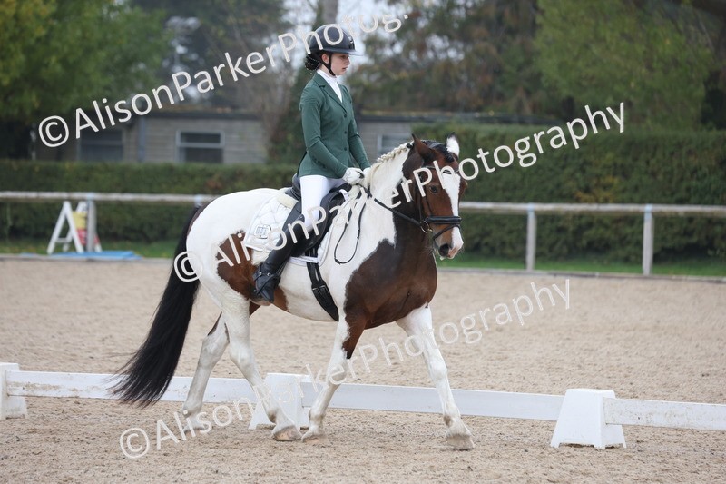 20251012-0587 - Class 5 - Elementary 5