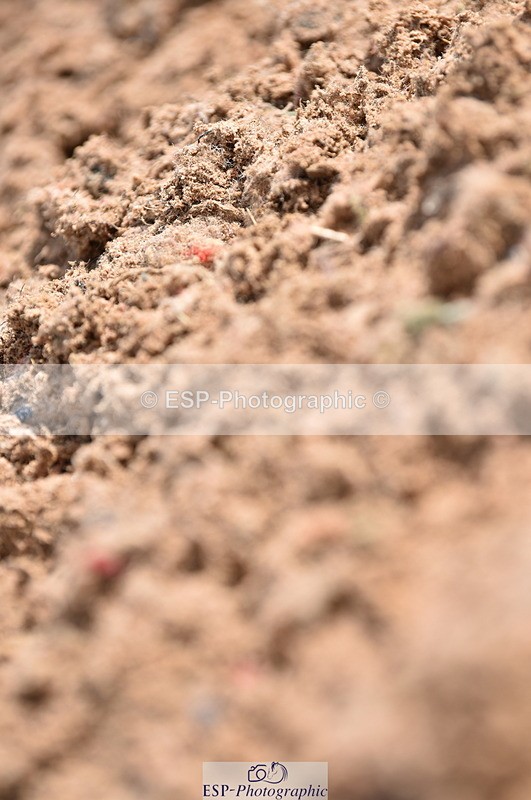 230511A-101635-00249 - BD Cls 2 Prelim 17A