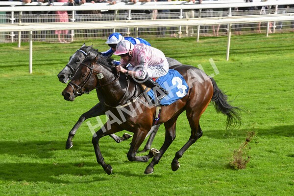 yr24092021r4-29 - Race 4 3.15pm William Hill Play Responsibly British EBF Restricted Novice Stakes