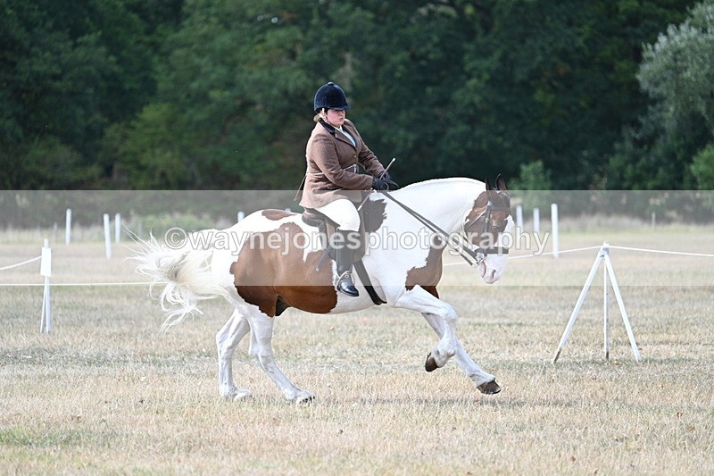 WJ7_7065 - Class 14 Ridden Coloured