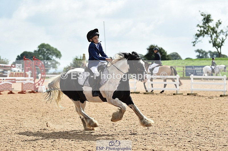 230902A-130604-01313 - Cls 3A Pony Medium 80cm