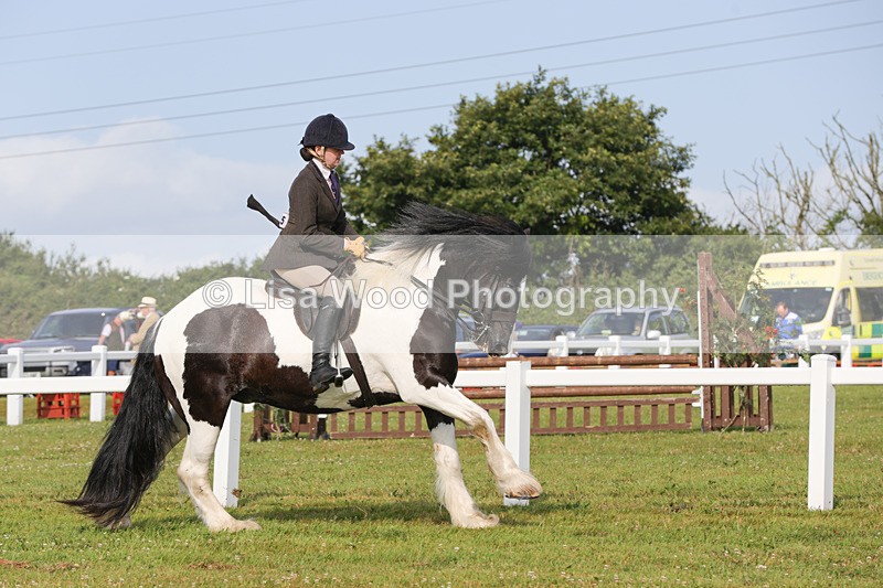 1X9A3160 - Class 27:  Ridden Native/Trad Coloured Horse