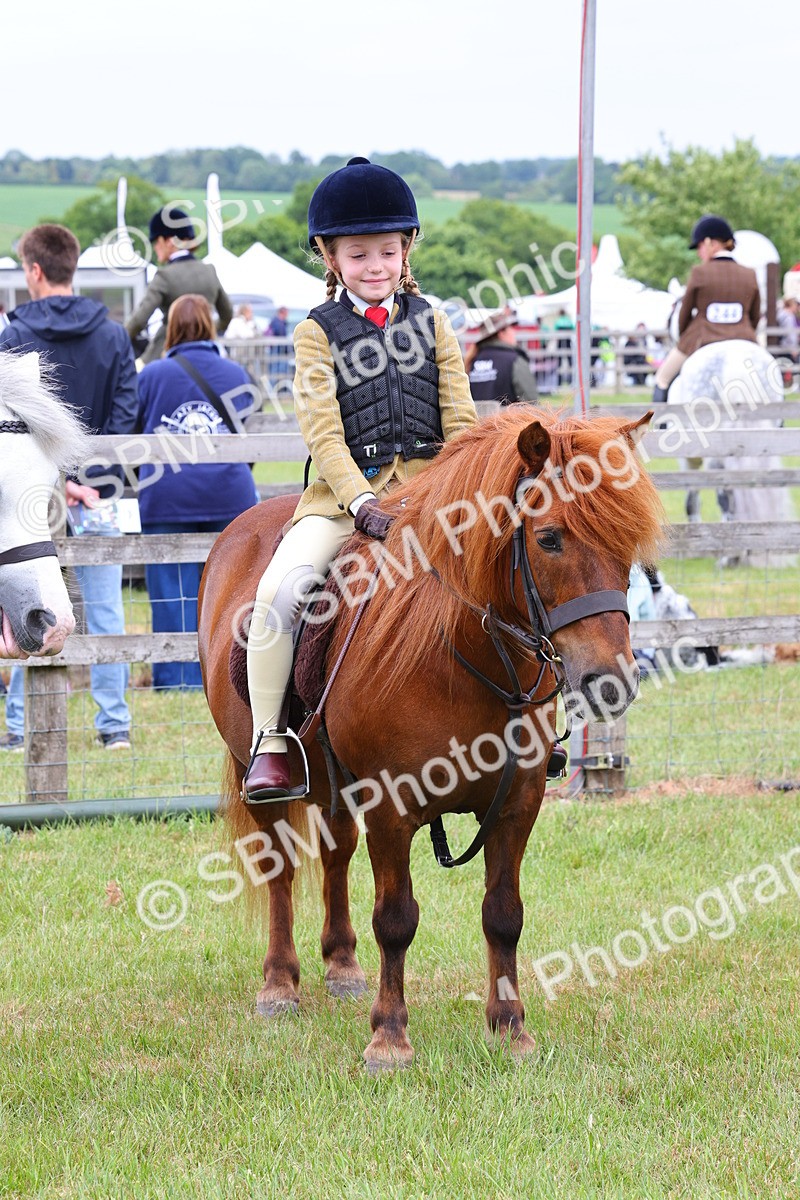 SBM_08793 - Class 42-43 - LIHS BSPS Heritage Working Sports Pony