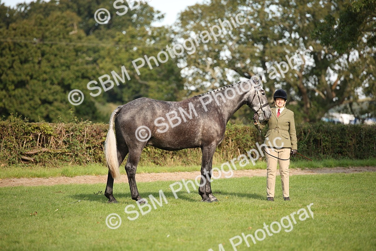 SBM_60060 - S53 - Hunter In Hand