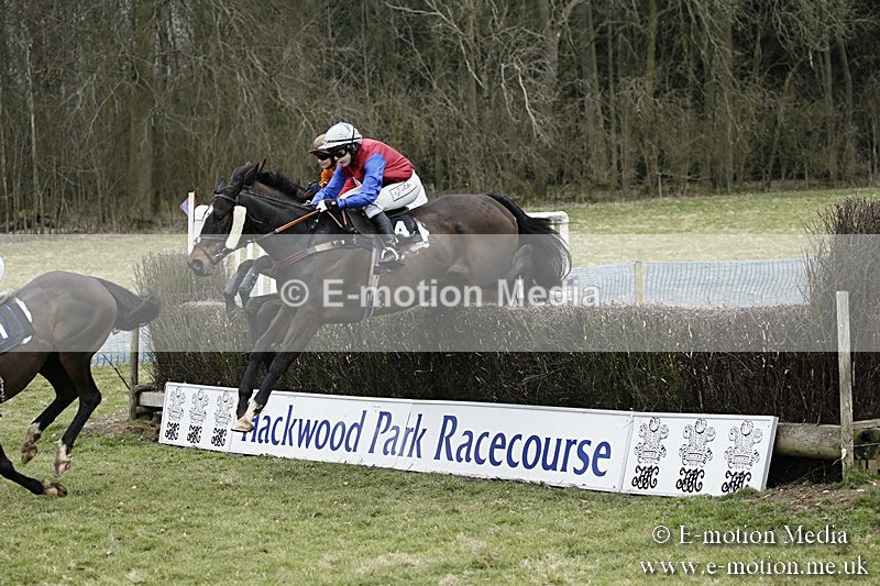 PtP 110318 142 - Hampshire Hunt Point-to-Point Hackwood Park 11/03/18