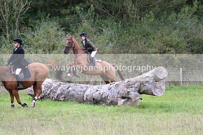 WJ7_3876 - Camera 1 Line 1