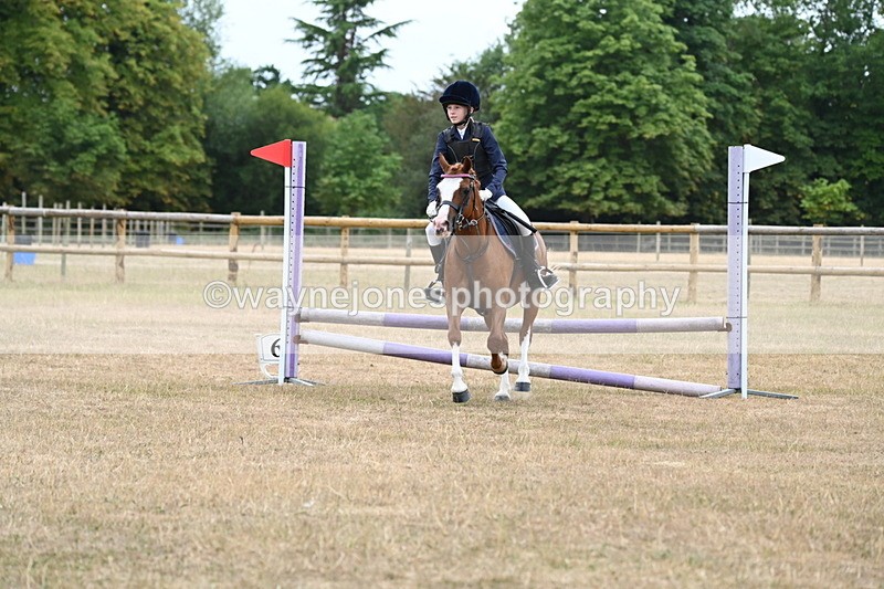 WJ6_0331 - Class 13 Novice Jumping 60cm