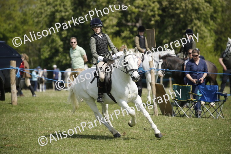 20250427-3557 - Class 14 - Absolute Novice 70cm