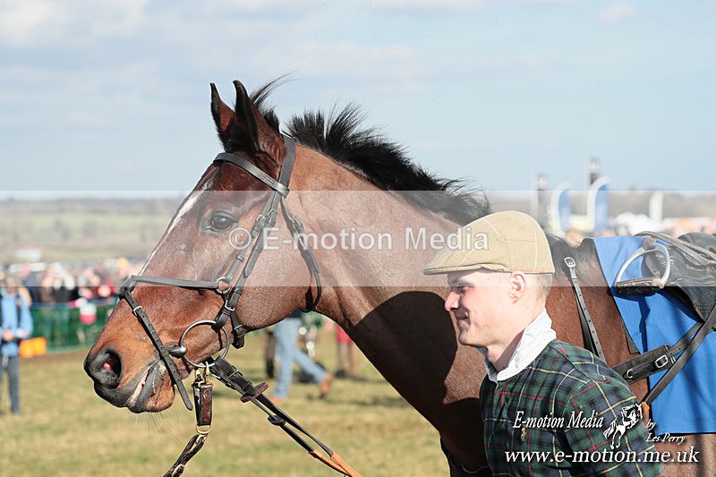 PtP 010325 367 - Beaufort Races Didmarton 01/03/25